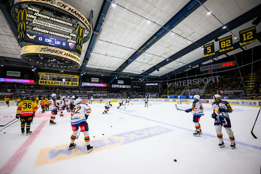 Djurgårdens spelare