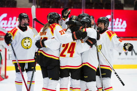 Brynäs spelare jublar