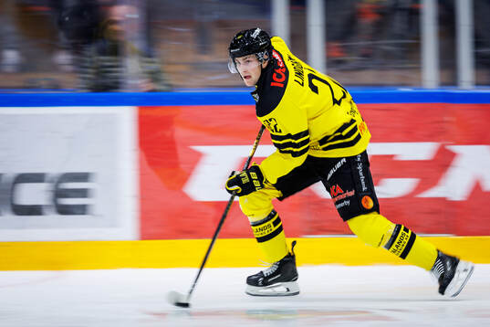 Vimmerbys Elias Lindgren
