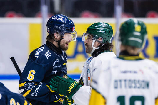 Södertäljes Olli Vainio och Björklövens Mathew Maione