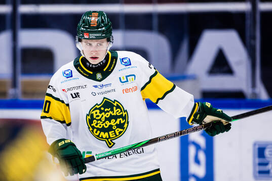 Björklövens Alfons Freij