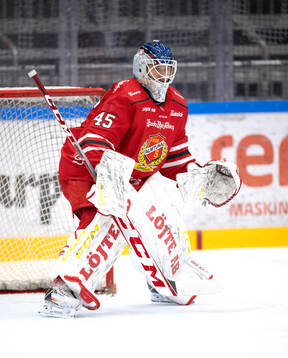 Almtunas målvakt Edvin Olofsson före ishockeymatchen i