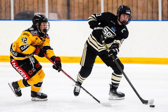 Bläddra bland fler bilder av Ishockey, SDHL, SDE - Luleå