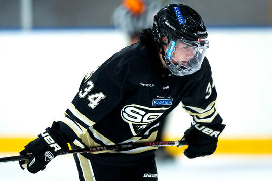 SDEs Liliane Perreault deppar