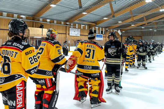 SDEs spelare deppar