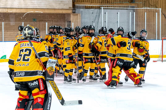 Luleås spelare jublar