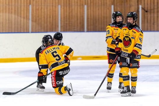 Luleås Johanna Fällman har ont