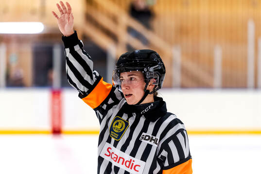 Domare Ida Henriksson