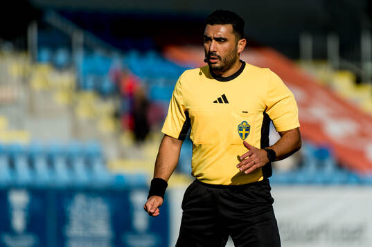 Domare Paul Shamoun