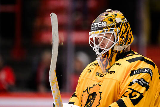 Skellefteås målvakt Linus Söderström