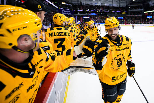 Skellefteås Marcus Eriksson jublar