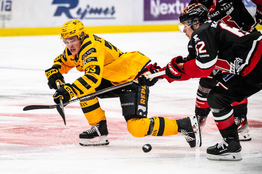 Skellefteås Zeb Forsfjäll och Örebros Robert Leino