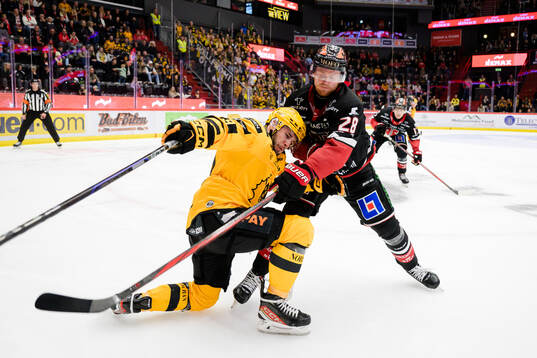 Skellefteås Martins Dzierkals och Örebros Linus Arnesson