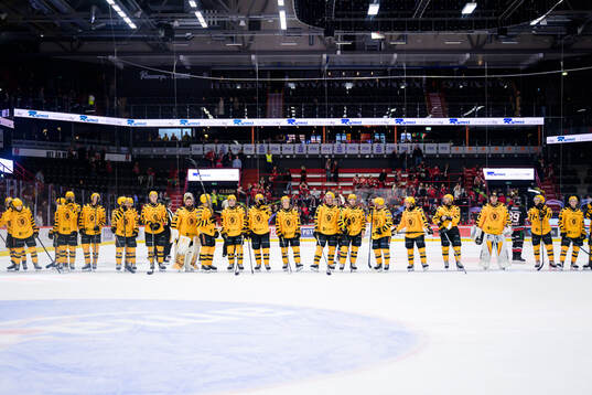 Skellefteås spelare jublar