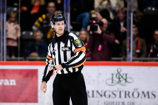 Domare Stefan Leijonklo