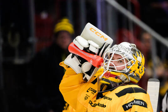 Skellefteås målvakt Gustaf Lindvall