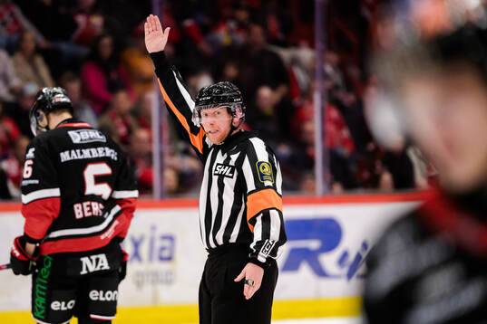 Domare Mikael Holm
