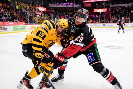 Skellefteås Martins Dzierkals och Örebros Linus Arnesson