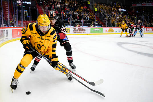 Skellefteås Martins Dzierkals och Örebros Milton Oscarson