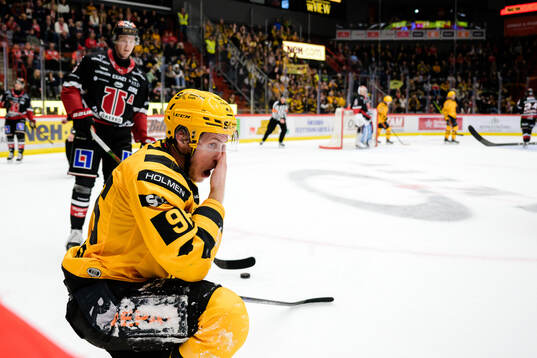 Skellefteås Rickard Hugg