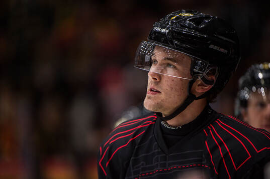 Brynäs Theo Lindstein