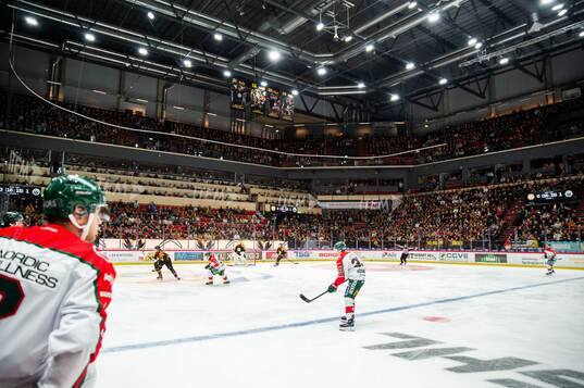 Monitor ERP Arena