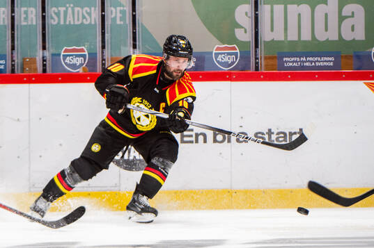 Brynäs Johan Larsson