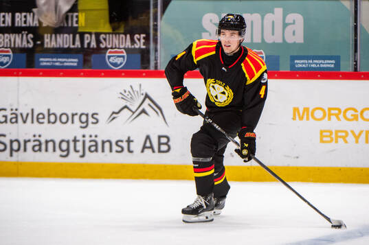 Brynäs Theo Lindstein