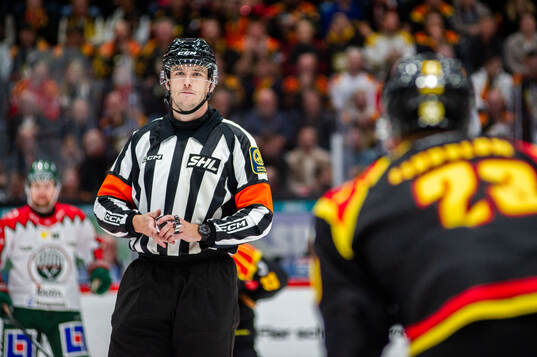 Domare Oscar Niklasson