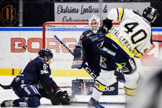 Linköpings Christian Heljanko