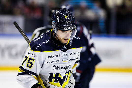HV71s Radan Lenc deppar
