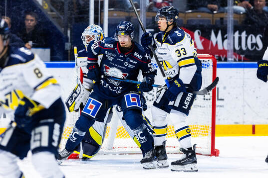 Linköpings Adam Hofbauer och HV71s Måns Lindbäck