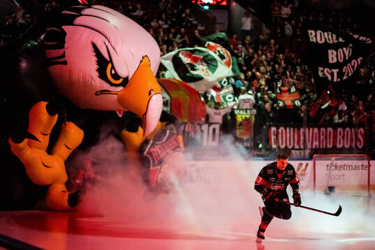 Malmö Redhawks Fredrik Händemark