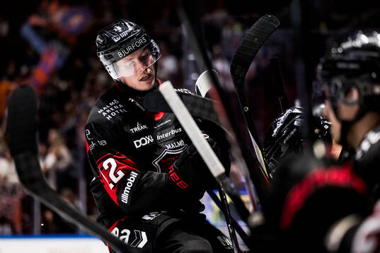 Malmö Redhawks Linus Öberg deppar