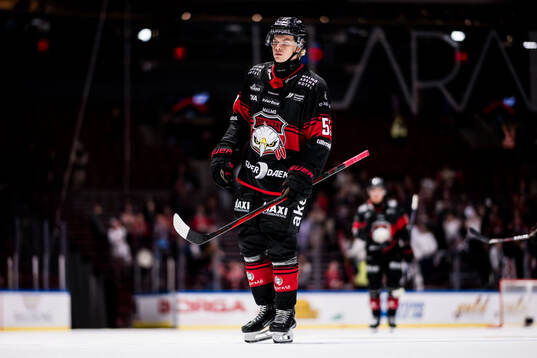 Malmö Redhawks Albert Sjöberg deppar