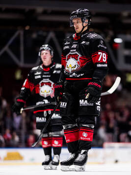 Malmö Redhawks Jakub Galvas deppar