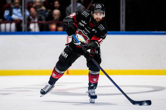 Malmö Redhawks Robin Hanzl