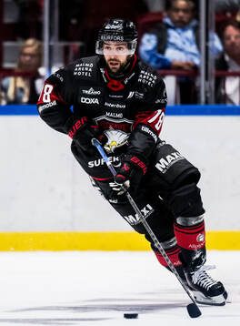 Malmö Redhawks Robin Hanzl