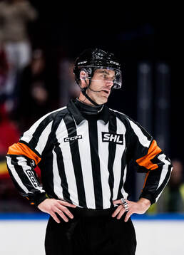 Domare Richard Magnusson