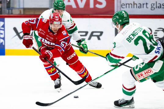 Timrås Anton Wedin