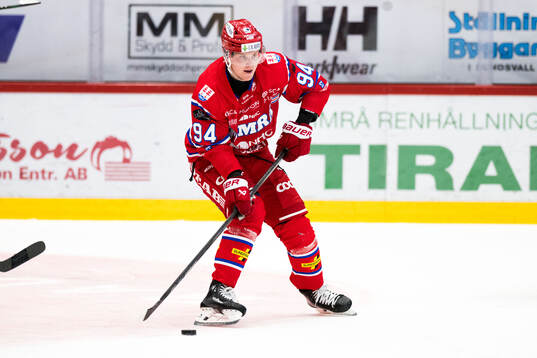 Timrås Sebastian Hartmann