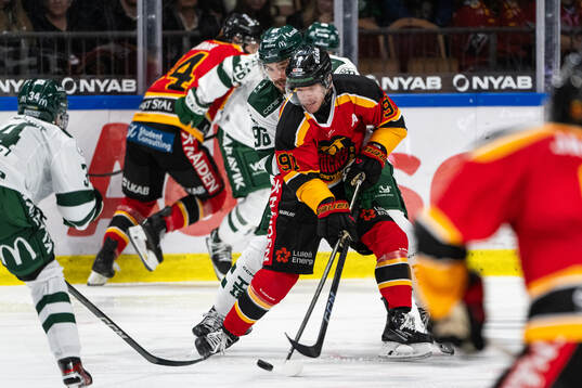 Färjestads David Tomasek och Luleås Brian O'neil