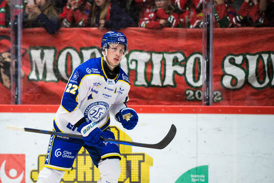 Leksands Lukas Vejdemo jublar