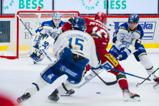 Leksands målvakt Jakob Hellsten