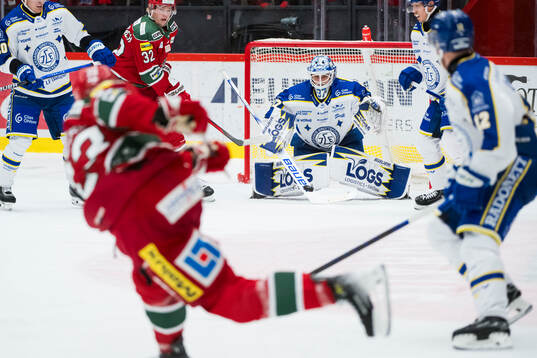 Leksands målvakt Jakob Hellsten