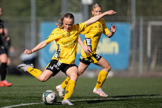 Elfsborgs Tilde Parkhagen