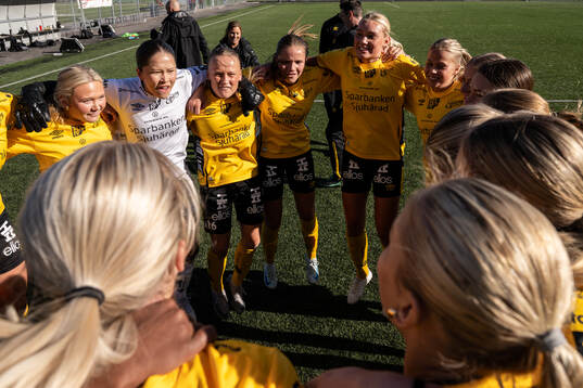 Elfsborgs spelare firar seriesegern