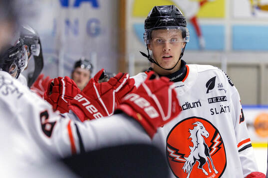 Vita Hästens Melvin Krause jublar