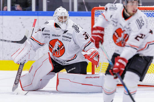 Vita Hästens målvakt Daniel Fahlström