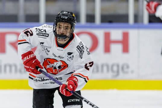 ita Hästens Luiz Liljeblad
